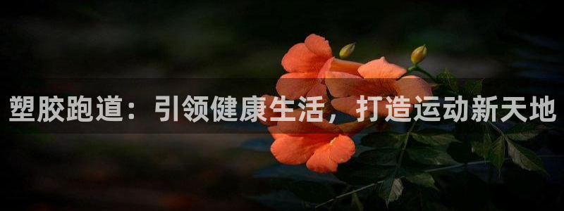 谈球吧官网在线入口手机版