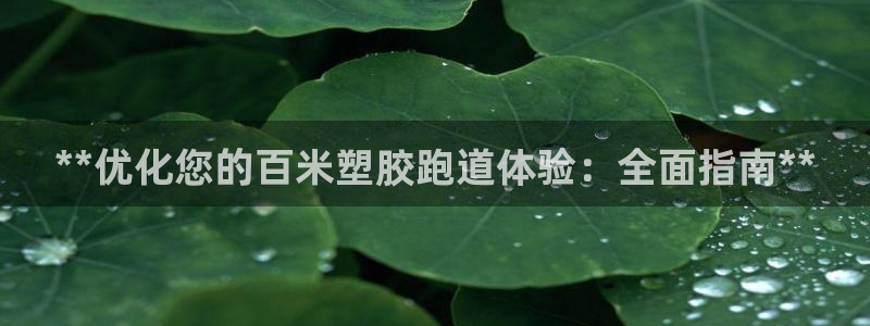谈球吧在线登录：**优化您的百米塑胶跑道体验：全面指南**
