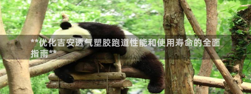 谈球吧app下载ios：**优化吉安透气塑胶跑道性能和使用寿命的全面
指南**