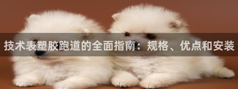 谈球吧网app官网下载：技术表塑胶跑道的全面指南：规格、优点和安装