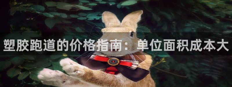 谈球吧官网下载：塑胶跑道的价格指南：单位面积成本大