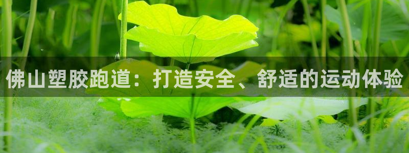 谈球吧官方网站：佛山塑胶跑道：打造安全、舒适的运动体验