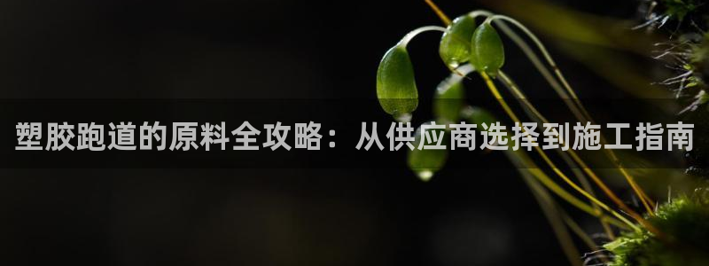 谈球吧app靠谱吗：塑胶跑道的原料全攻略：从供应商选择到施工指南