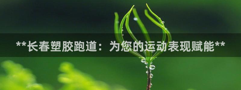 谈球吧言网入口：**长春塑胶跑道：为您的运动表现赋能**