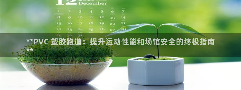 谈球吧怎么充值：**PVC 塑胶跑道：提升运动性能和场馆安全的终极指南
**