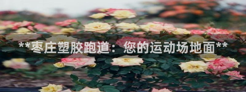 谈球吧平台正规吗可靠吗：**枣庄塑胶跑道：您的运动场地面**