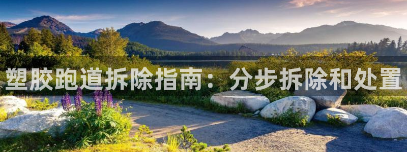 谈球吧的聊天软件是什么：塑胶跑道拆除指南：分步拆除和处置
