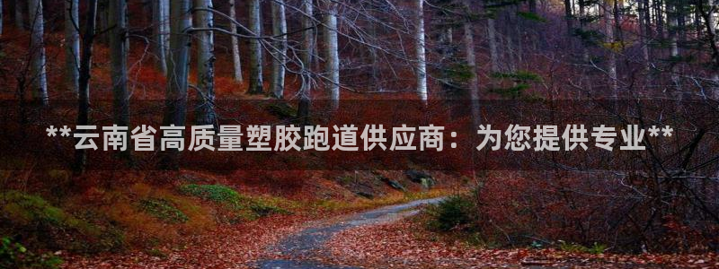 谈球吧app下载：**云南省高质量塑胶跑道供应商：为您提供专业**