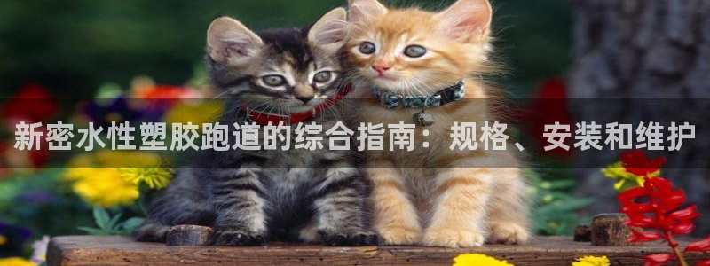 谈球吧体育app下载中心官方：新密水性塑胶跑道的综合指南：规格、安装和维护