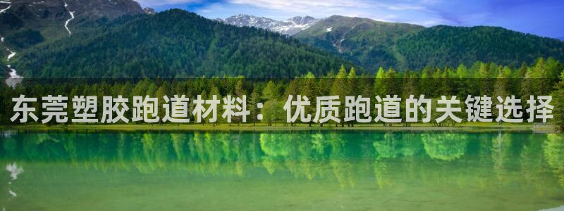 谈球吧真人：东莞塑胶跑道材料：优质跑道的关键选择