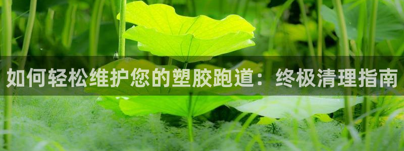 谈球吧体育app下载中心在哪：如何轻松维护您的塑胶跑道：终极清理指南