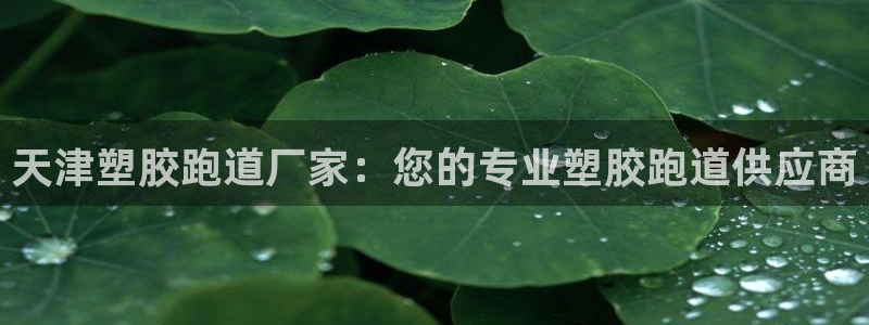 谈球吧官网首页：天津塑胶跑道厂家：您的专业塑胶跑道供应商