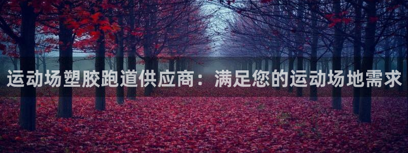谈球吧能提现不：运动场塑胶跑道供应商：满足您的运动场地需求