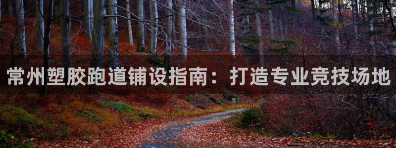 谈球吧官网入口：常州塑胶跑道铺设指南：打造专业竞技场地