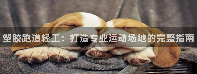 谈球吧官网提款不了：塑胶跑道轻工：打造专业运动场地的完整指南