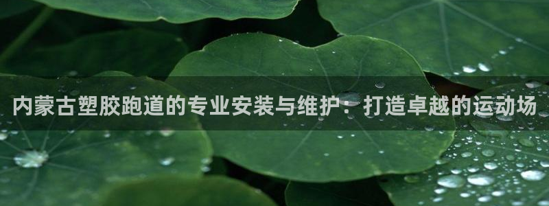 谈球吧体育官网入口：内蒙古塑胶跑道的专业安装与维护：