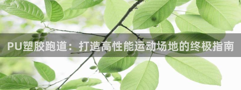 谈球吧的聊天软件叫什么：PU塑胶跑道：打造高性能运动场地的终极指南