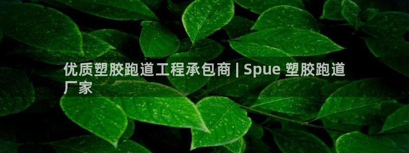 谈球吧平台app下载网址是什么：优质塑胶跑道工程承包商 | Spue 塑胶跑道
厂家
