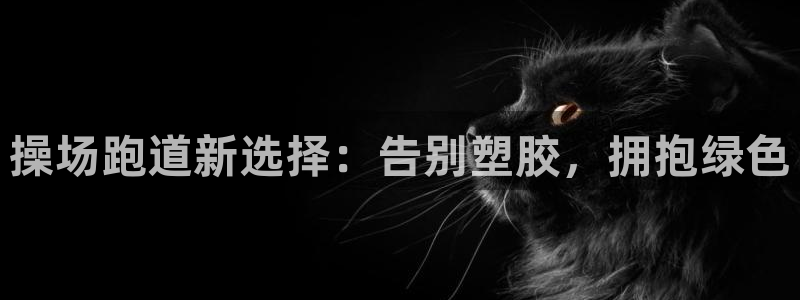 谈球吧的聊天软件下载：操场跑道新选择：告别塑胶，拥抱绿色