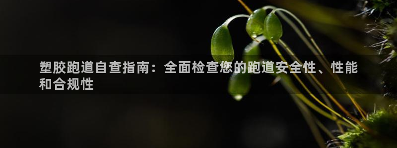 谈球吧官网入口在线观看：塑胶跑道自查指南：全面检查您的跑道安全性、性能
和合规性