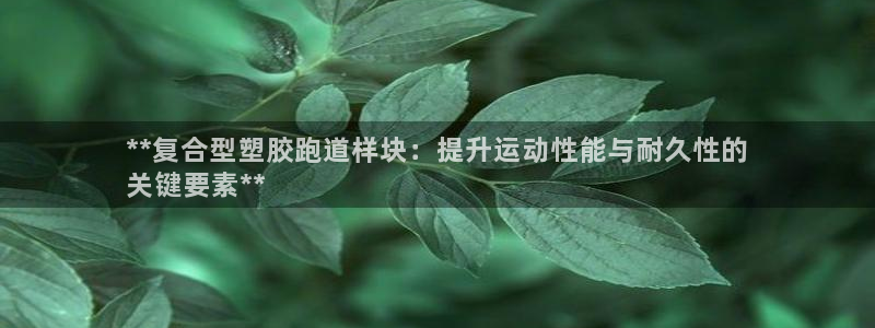 谈球吧中国：**复合型塑胶跑道样块：提升运动性能与耐久性的
关键要素**