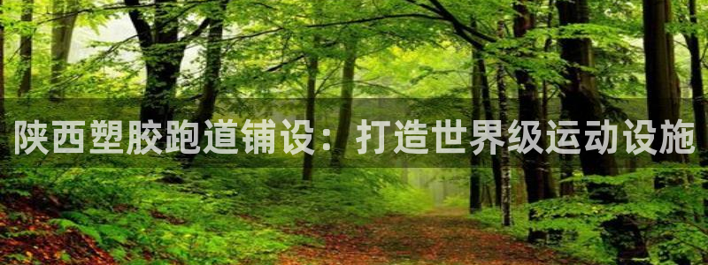 谈球吧体育app下载：陕西塑胶跑道铺设：打造世界级运动设施