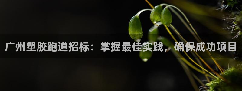 谈球吧体育app下载官网苹果：广州塑胶跑道招标：掌握最佳实践，确保成功项目