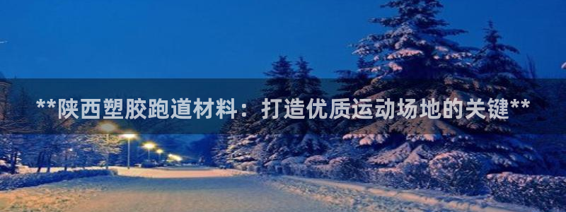 谈球吧官网在线入口免费观看视频下载：**陕西塑胶跑道材料：打造优质运动场地的关键**