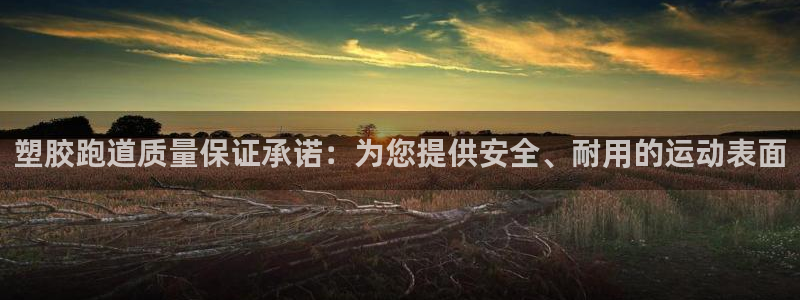 谈球吧买球提现：塑胶跑道质量保证承诺：为您提供安全、耐用的运动表面