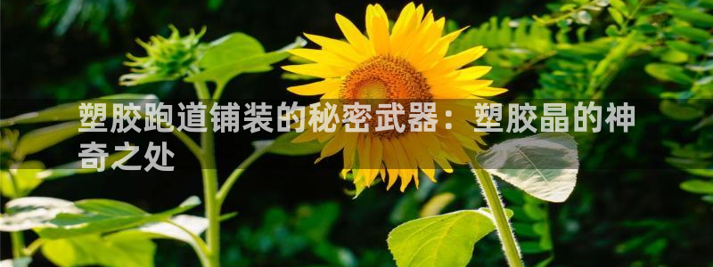 谈球吧打不开了：塑胶跑道铺装的秘密武器：塑胶晶的神
奇之处