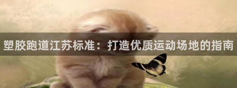 谈球吧官网入口：塑胶跑道江苏标准：打造优质运动场地的