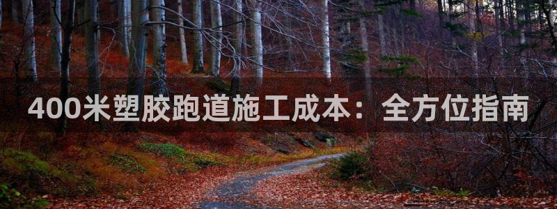 谈球吧体育app下载官网：400米塑胶跑道施工成本：全方位指南