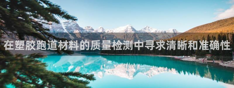 谈球吧官网在线入口手机版：在塑胶跑道材料的质量检测中寻求清晰和准确性