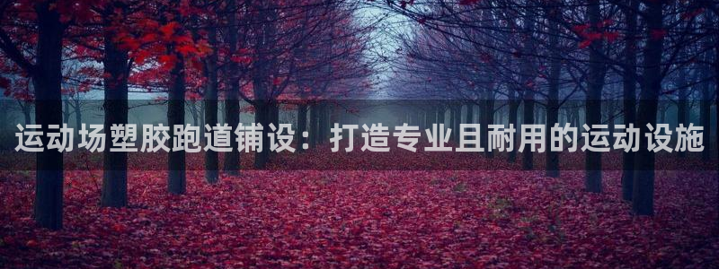 谈球吧的聊天软件是什么：运动场塑胶跑道铺设：打造专业