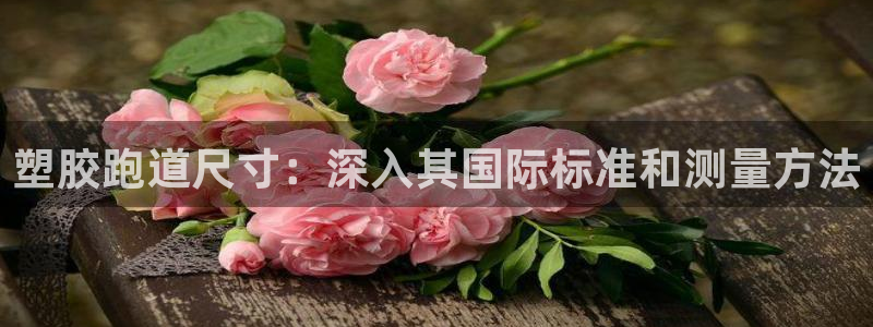 谈球吧的聊天软件有哪些：塑胶跑道尺寸：深入其国际标准