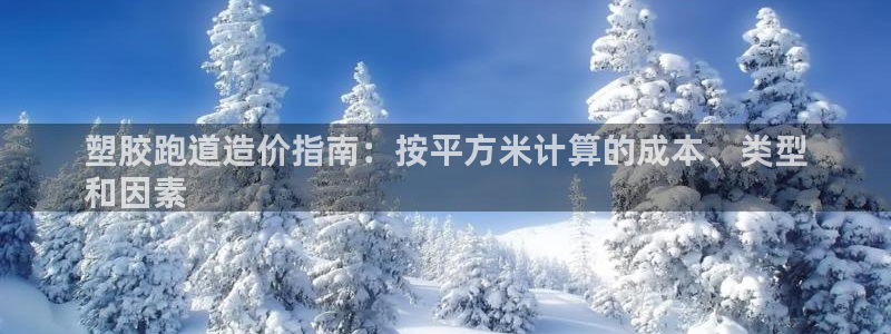谈球吧app下载：塑胶跑道造价指南：按平方米计算的成本、类型
和因素