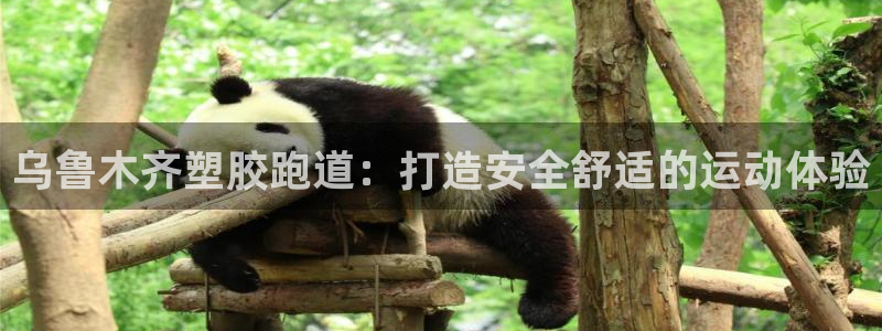 谈球吧体育app下载官网手机版安装：乌鲁木齐塑胶跑道：打造安全舒适的运动体验