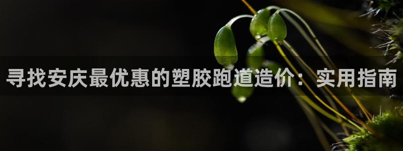 谈球吧平台正规吗可信吗安全吗：寻找安庆最优惠的塑胶跑道造价：实用指南