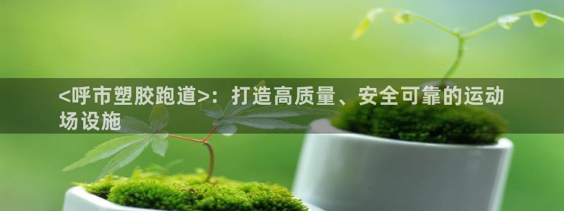 谈球吧(中国)官方网站：<呼市塑胶跑道>：打造高质量、安全可靠的运动
场设施