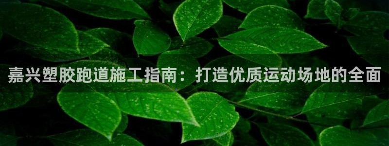 谈球吧app体育下载：嘉兴塑胶跑道施工指南：打造优质运动场地的全面
