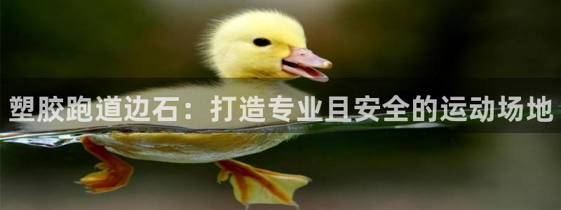 谈球吧app赛事分析报告怎么做：塑胶跑道边石：打造专