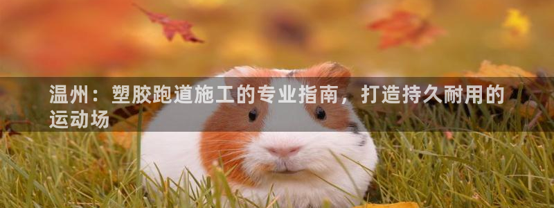 谈球吧app体育下载官网：温州：塑胶跑道施工的专业指南，打造持久耐用的
运动场