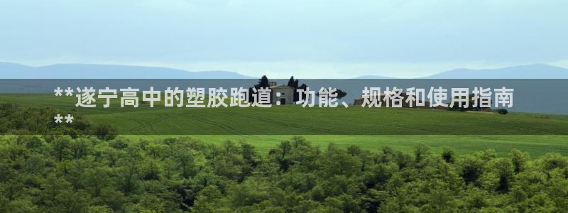 谈球吧算违法行为吗知乎：**遂宁高中的塑胶跑道：功能、规格和使用指南
**