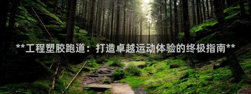 谈球吧的聊天软件叫什么来着：**工程塑胶跑道：打造卓越运动体验的终极指南**