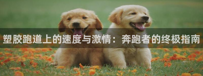 谈球吧的聊天软件叫什么来着：塑胶跑道上的速度与激情：奔跑者的终极指南