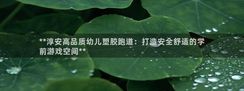 谈球吧的聊天软件是什么：**淳安高品质幼儿塑胶跑道：打造安全舒适的学
前游戏空间**