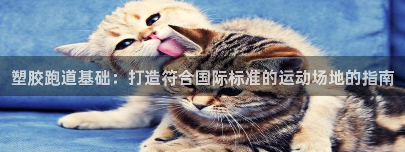 谈球吧官网在线入口手机版免费下载：塑胶跑道基础：打造符合国际标准的运动场地的指南