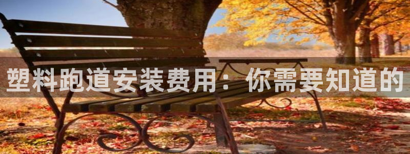 谈球吧体育app登陆：塑料跑道安装费用：你需要知道的