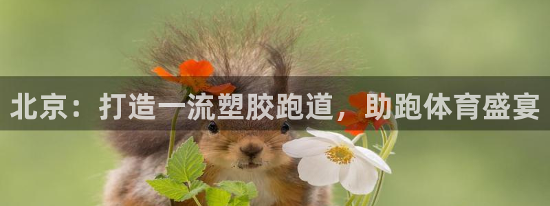 谈球吧app赛事分析报告模板：北京：打造一流塑胶跑道，助跑体育盛宴