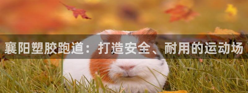 谈球吧体育app下载足球比赛：襄阳塑胶跑道：打造安全、耐用的运动场
